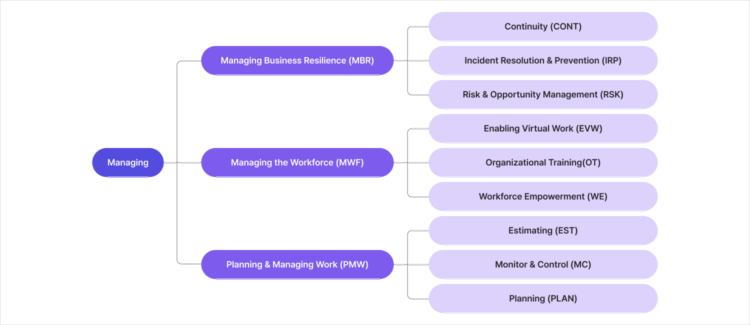 CMMI Managing 카테고리 Capability Area·Practice Area 세부 구조도