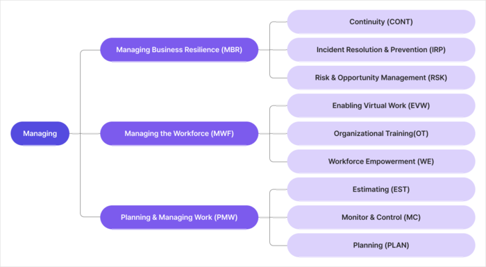 CMMI Managing 카테고리 Capability Area·Practice Area 세부 구조도